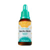 Floral Therapi SONHO BOM 30ml - 2