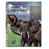 Manual Papaterra - Elefante - 1