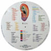 Mapa de Auriculoterapia Redondo - 2