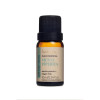 Oleo Via Aroma Menta Piperita 10ml - 1