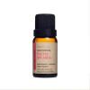 Oleo Via Aroma Salvia Sclarea 10ml - 1